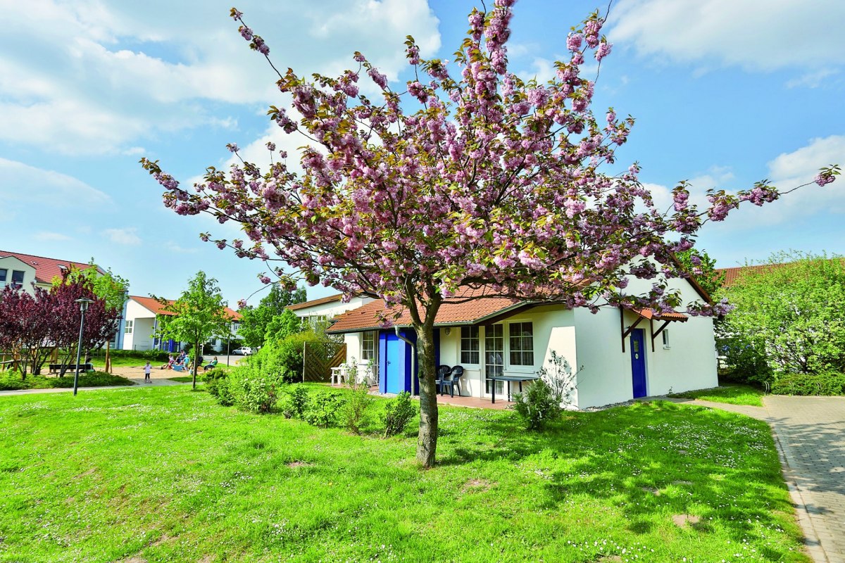 Ferienhaus im Familienferiendorf Rerik im Frühling // © AWO SANO gGmbH Ferienhaus im Familienferiendorf Rerik im Frühling // © AWO SANO gGmbH