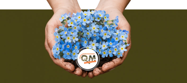 Vergissmeinnicht // © QM Vergissmeinnicht // © QM