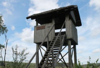 Aussichtsturm Großer Serrahnsee // © MV-T/Bodieschek Aussichtsturm Großer Serrahnsee // © MV-T/Bodieschek