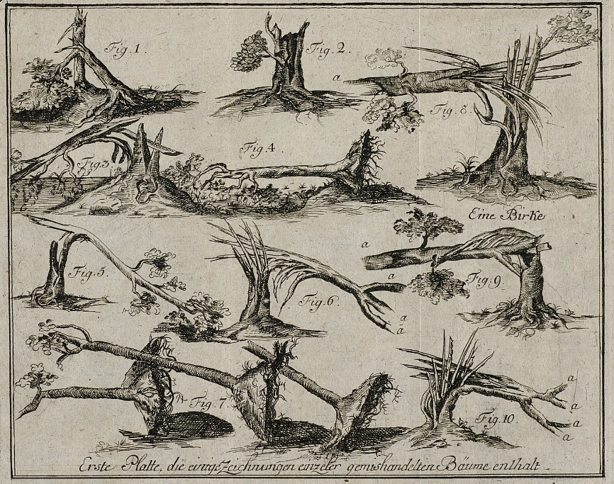 1764 verw&uuml;stete der "Jahrtausendtornado" Land und Geb&auml;ude bei Woldegk. Es war der st&auml;rkste bisher bekannte Tornado in Deutschland (Kategorie F5), &copy; Landesbibliothek Mecklenburg-Vorpommern G&uuml;nther Uecker