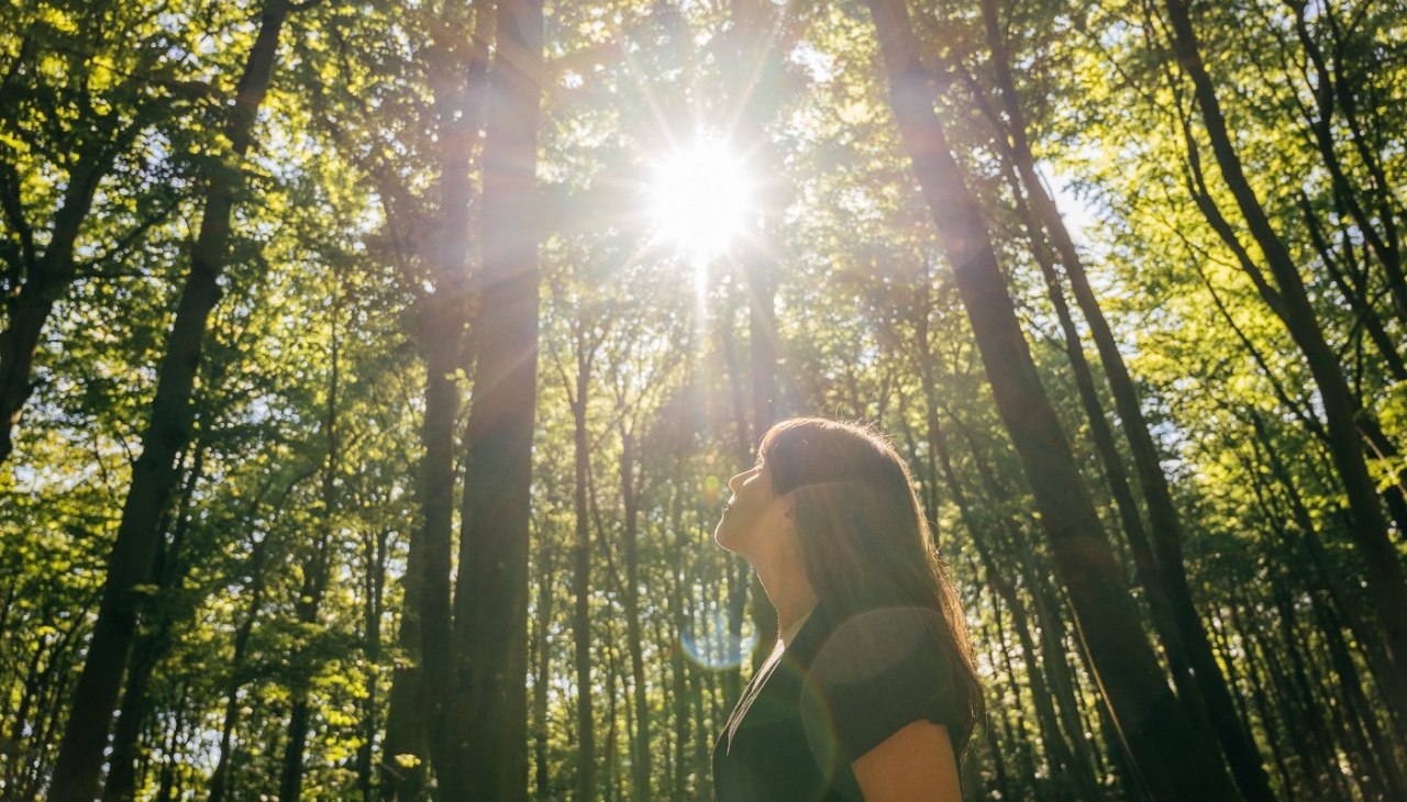Waldbaden: Shinrin Yoku, © Binzer Bucht Tourismus