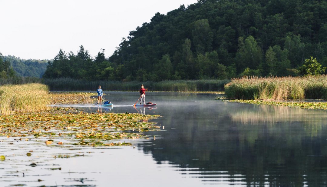 Mit dem SUP bei Mirow auf dem Granzower Möschen paddeln, © TMV/Gross Zwei Frauen paddeln auf einem Stand-Up-Paddle-Board auf einem See.