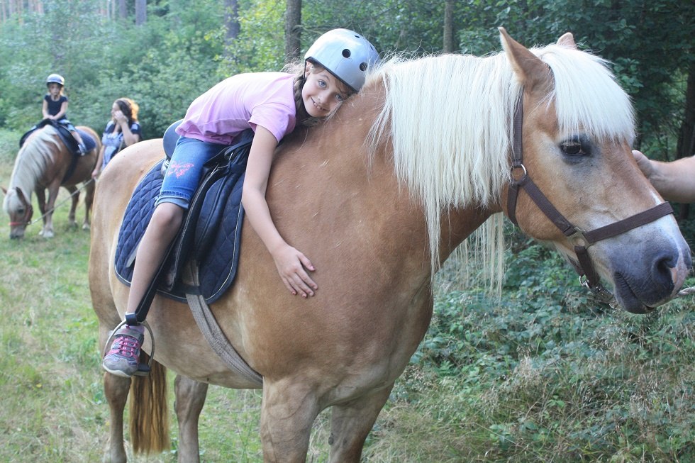 Für die Kleinen sind unsere Ponys die Größten- ruhig im Umgang, verlässlich und geländesicher. // © Waldhof Bruchmühle Für die Kleinen sind unsere Ponys die Größten- ruhig im Umgang, verlässlich und geländesicher. // © Waldhof Bruchmühle