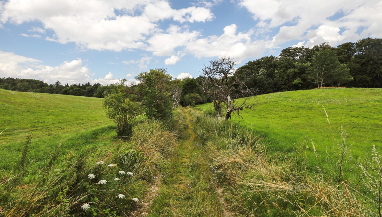 Kasteel Schlitzpark_1, &copy; TMV/Gohlke