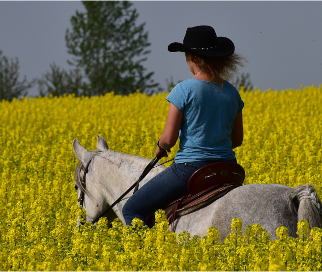 &copy; Hof Peeneland