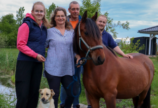 &copy; Pferdehof W&uuml;stgrabow