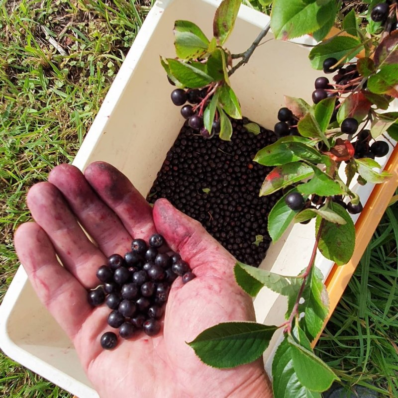 &copy; Gunnar Marquardt