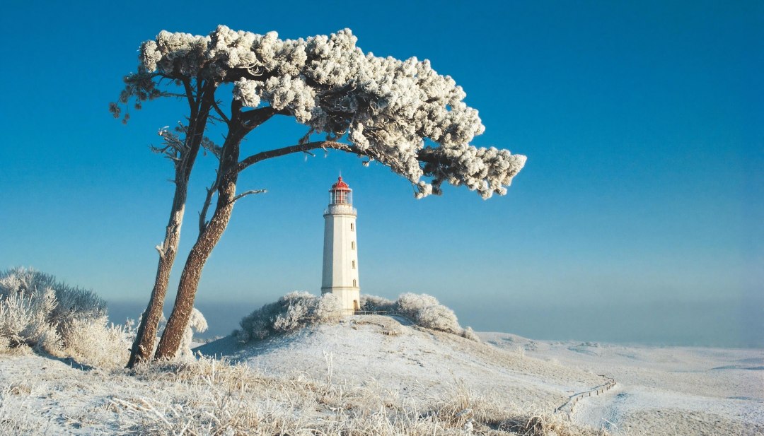Die magische Winterlandschaft auf Hiddensee, wo der majestätische Leuchtturm am Dornbusch von frostbedeckten Bäumen umrahmt wird., © TMV/Voigt & Kranz Schneebedeckter Leuchtturm am Dornbusch auf Hiddensee, umgeben von einer frostigen Winterlandschaft unter strahlend blauem Himmel.