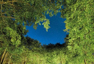 © Kurverwaltung Sellin © Kurverwaltung Sellin