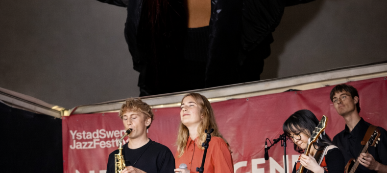 &copy; Foto: Erla Ziska (jazzygold), Anna Rylander (Wonders of Stevie)