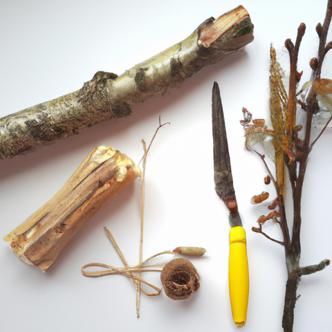 Von der Natur inspirieren lassen und kreativ werden // &copy; Annett Freese