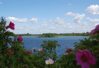 Blick vom Grundstück auf den Schaalsee mit der Insel Möwenburg. // © © Susanne Hoffmeister Blick vom Grundstück auf den Schaalsee mit der Insel Möwenburg. // © © Susanne Hoffmeister