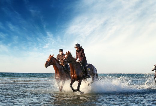 Von Oktober bis April heißt es rein in den Sattel und ab an die Mecklenburgische Ostsee // © MV-T/Pantel Von Oktober bis April heißt es rein in den Sattel und ab an die Mecklenburgische Ostsee // © MV-T/Pantel