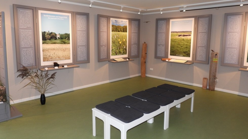 Die Ausstellung informiert &uuml;ber die Entstehung des Talmoores und &uuml;ber die hier lebenden Tier- und Pflanzenarten. // &copy; Martin Hagemann