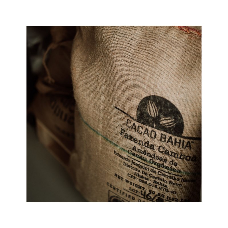 Kakaobohnen, &copy; Roy Zimmer