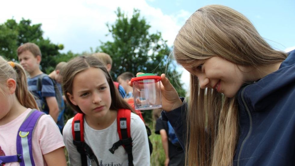 Gro&szlig;e und kleine Wildtiere entdecken!, &copy; Haus Wildtierland