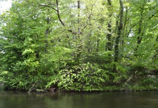 Erhebung des Turmh&uuml;gels am Wassergraben. // &copy; Lutz Werner