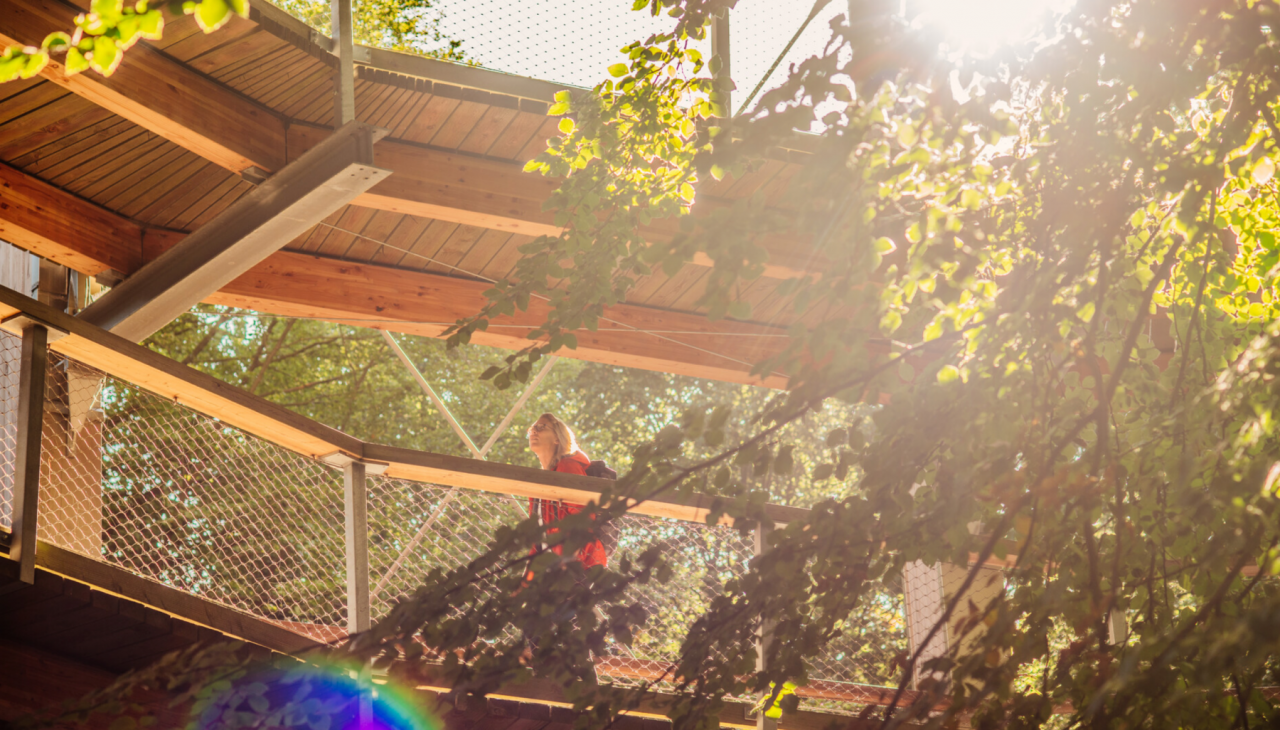 Familienf&uuml;hrung: NaturZauber, &copy; Binzer Bucht Tourismus