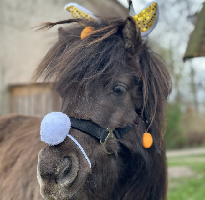 Ostern bei den Bernsteinreitern // &copy; De
