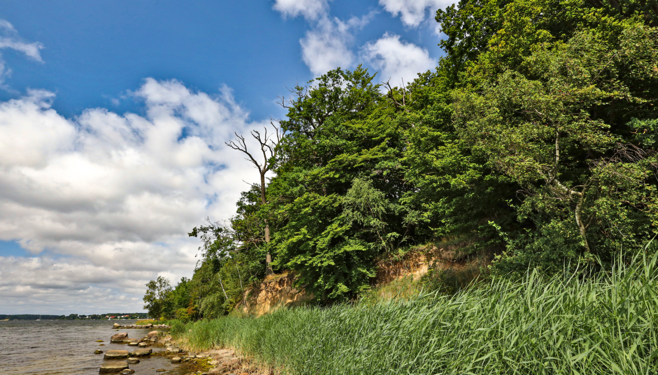 pfad-der-musse-und-erkenntnis_3, &copy; TMV/Gohlke