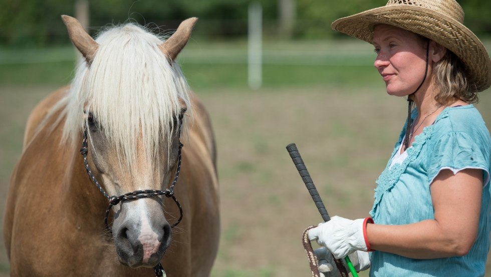 Reiten und Meer: Über die Bodenarbeit wird eine entspannte und vertrauensvolle Atmosphäre zum Pferd aufgebaut. // © MV-T/ Hafemann Reiten und Meer: Über die Bodenarbeit wird eine entspannte und vertrauensvolle Atmosphäre zum Pferd aufgebaut. // © MV-T/ Hafemann