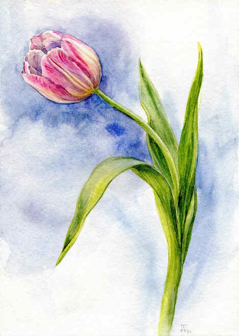 Jenny Thalheim, © Jenny Thalheim Jenny Thalheim, © Jenny Thalheim