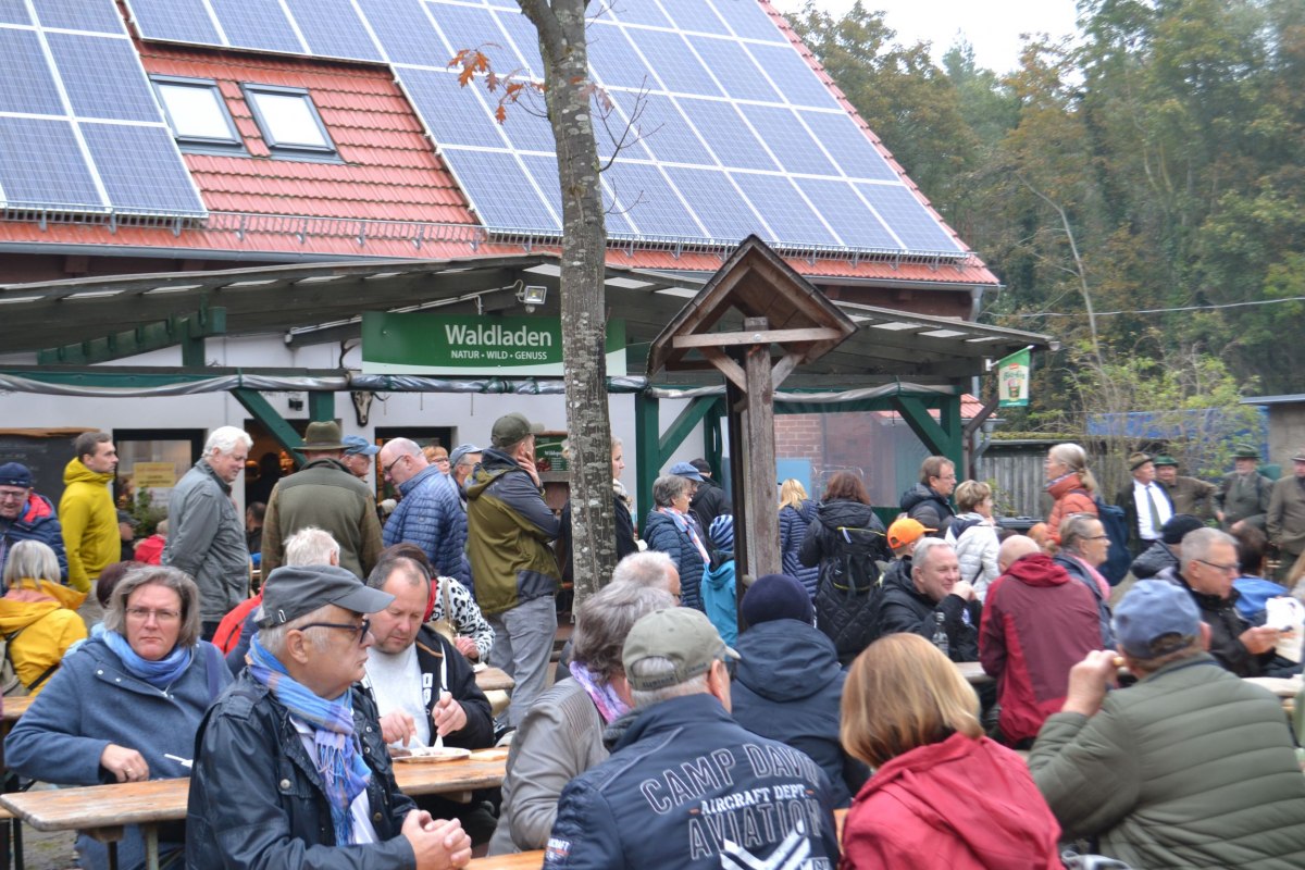 &copy; Sylvia Acksteiner