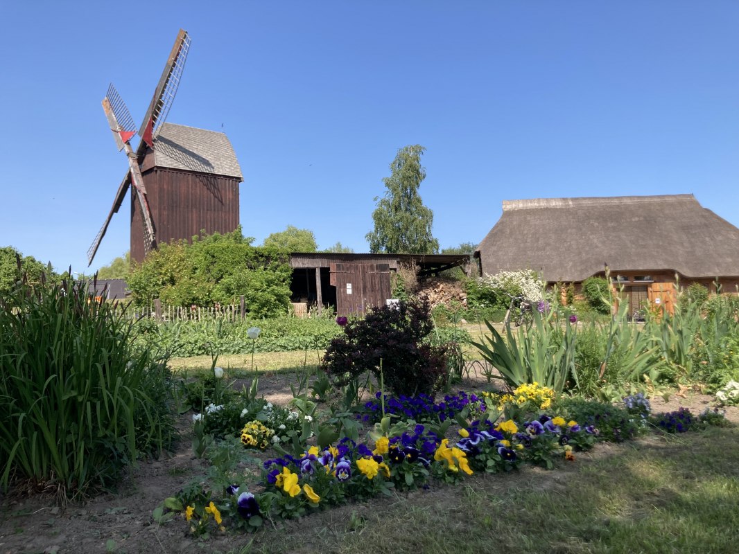 Kleurrijke lentegroeten van de Eldena windmolen // &copy; Martin Weidemeier