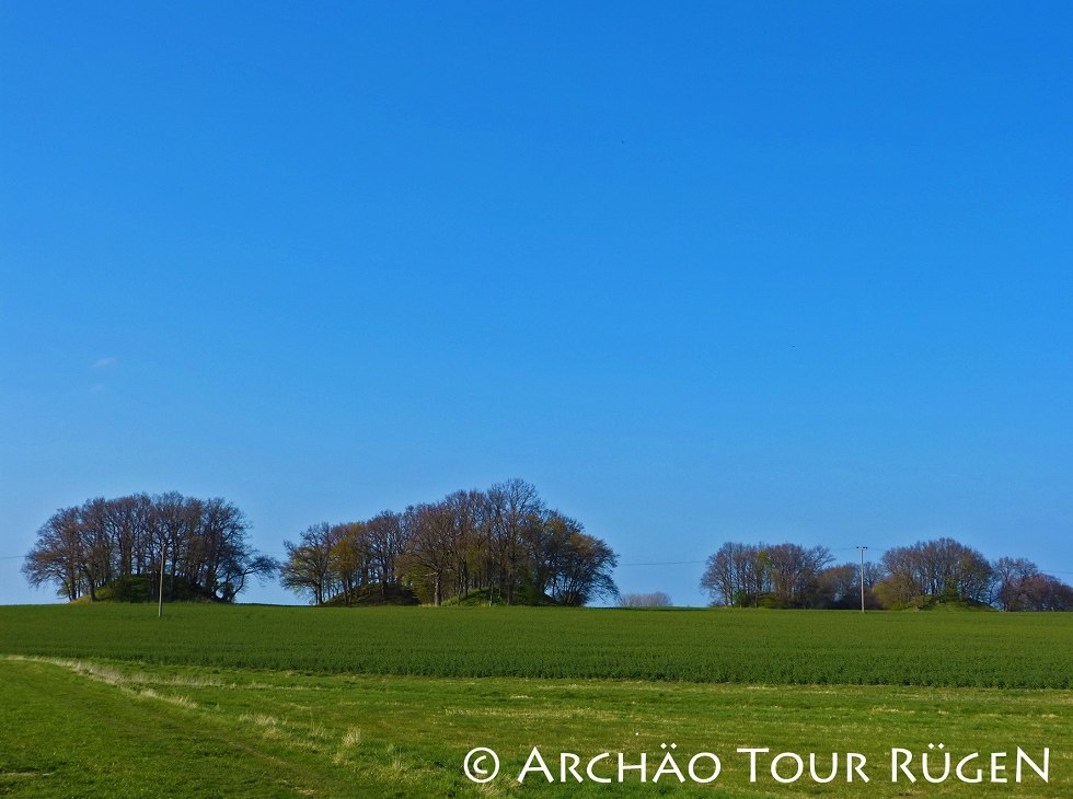 Blick auf die Hügelgräber "Woorker Berge", © Archäo Tour Rügen Blick auf die Hügelgräber "Woorker Berge", © Archäo Tour Rügen
