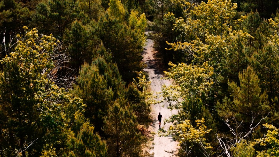 BALTIC x COAST RUN, © Binzer Bucht Tourismus BALTIC x COAST RUN, © Binzer Bucht Tourismus