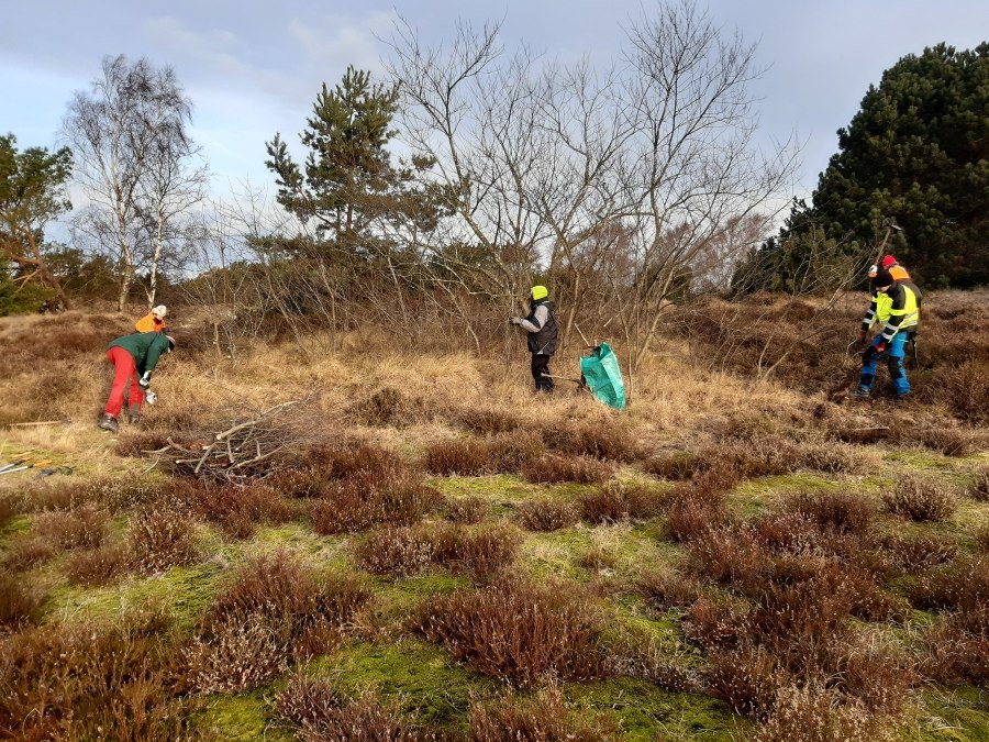 Mitmachtage_KFuchs_1800, &copy; Nationalparkamt Vorpommern