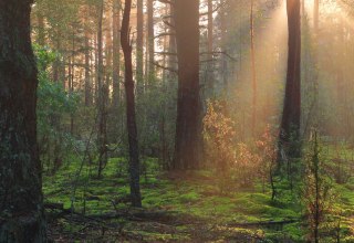 Zeit zum Durchatmen // &copy; Christina Blohm