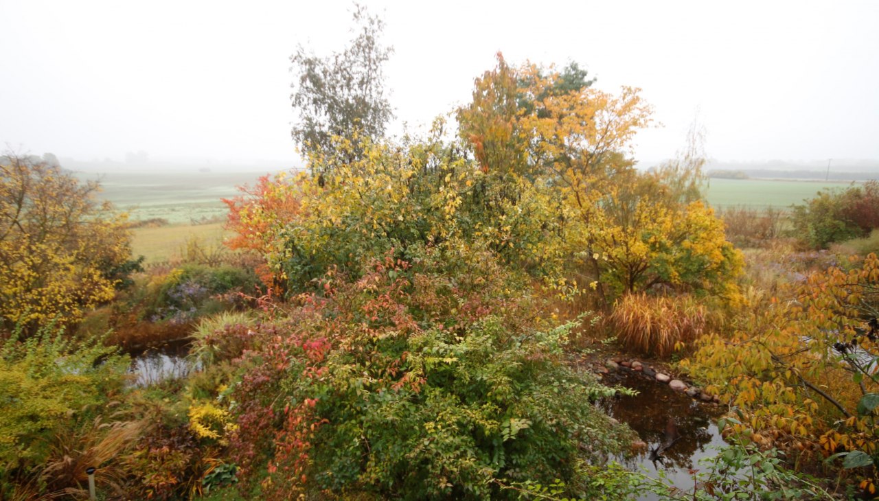 Herbst - Farbenspiel, © Claus Gering Herbst - Farbenspiel, © Claus Gering