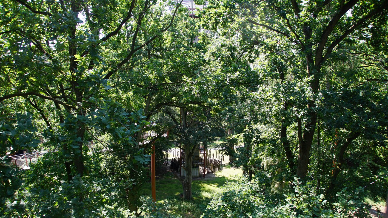 © Landesforst MV © Landesforst MV