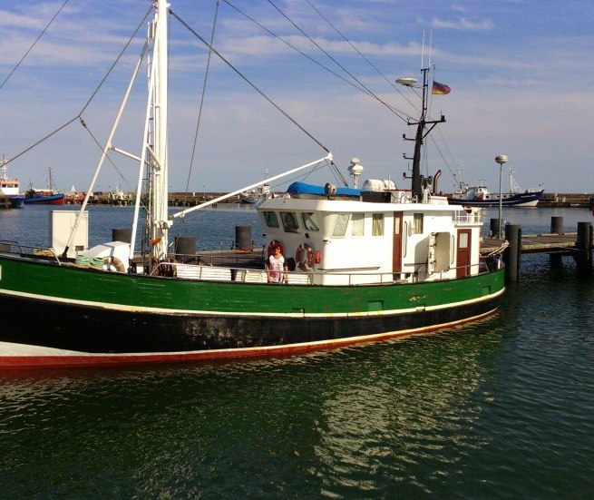 © E. Speck © E. Speck