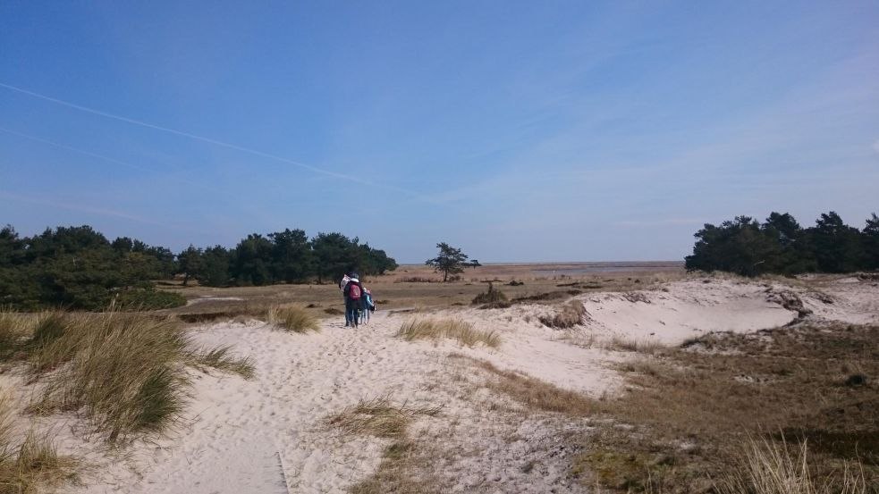 Duinen bij Darßer Ort, © TMV/UB Duinen bij Darßer Ort, © TMV/UB