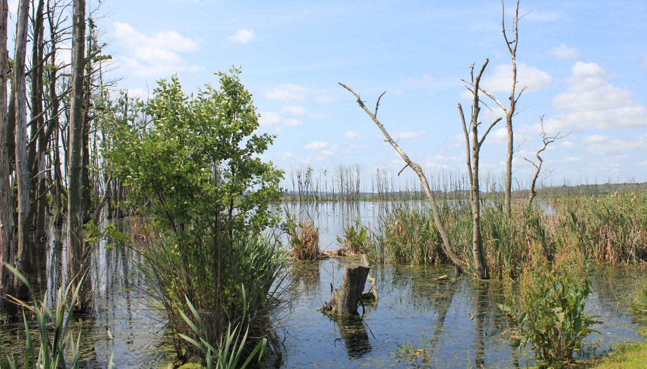 Große Rosin, © M. Kiauka Große Rosin, © M. Kiauka