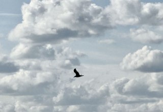 © Katrin Sander © Katrin Sander