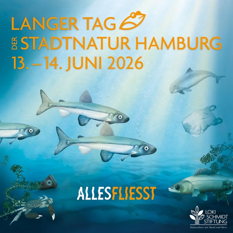 Plakat zum Langen Tag der StadtNatur // &copy; Loki Schmidt Stiftung