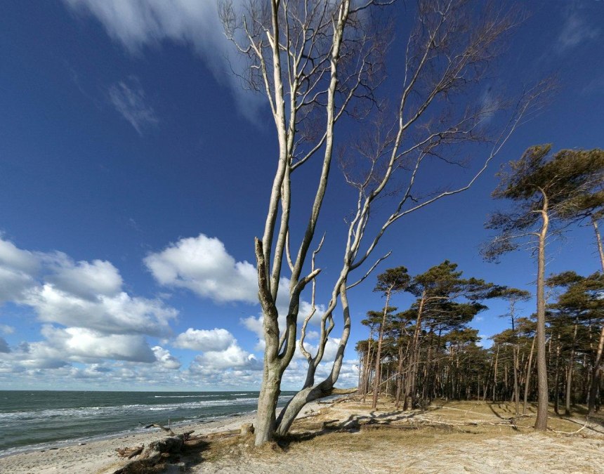 Weststrand, © TV FDZ Weststrand, © TV FDZ