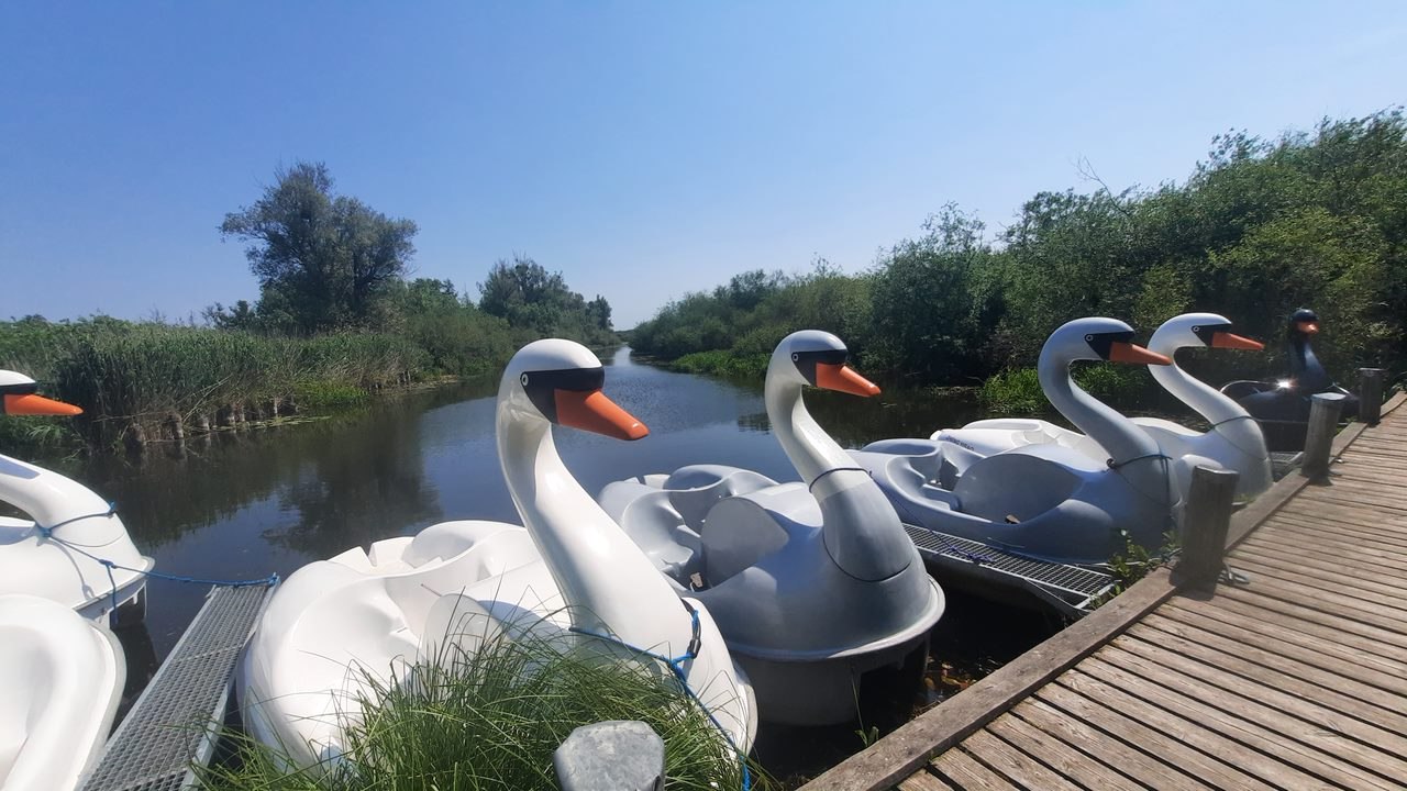 &copy; Gina Schulenberg