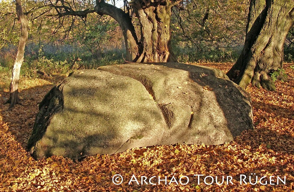 Opferstein Quoltitz // © Archäo Tour Rügen Opferstein Quoltitz // © Archäo Tour Rügen
