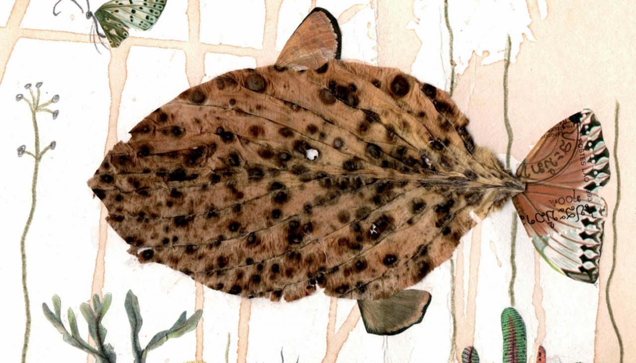 FLH_Ausstellung_kleiner Blattfisch_Foto&copy;Heidrun Boddin, &copy; Heidrun Boddin