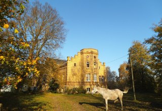 Gutshaus Maltzien // &copy; Tourismuszentrale R&uuml;gen