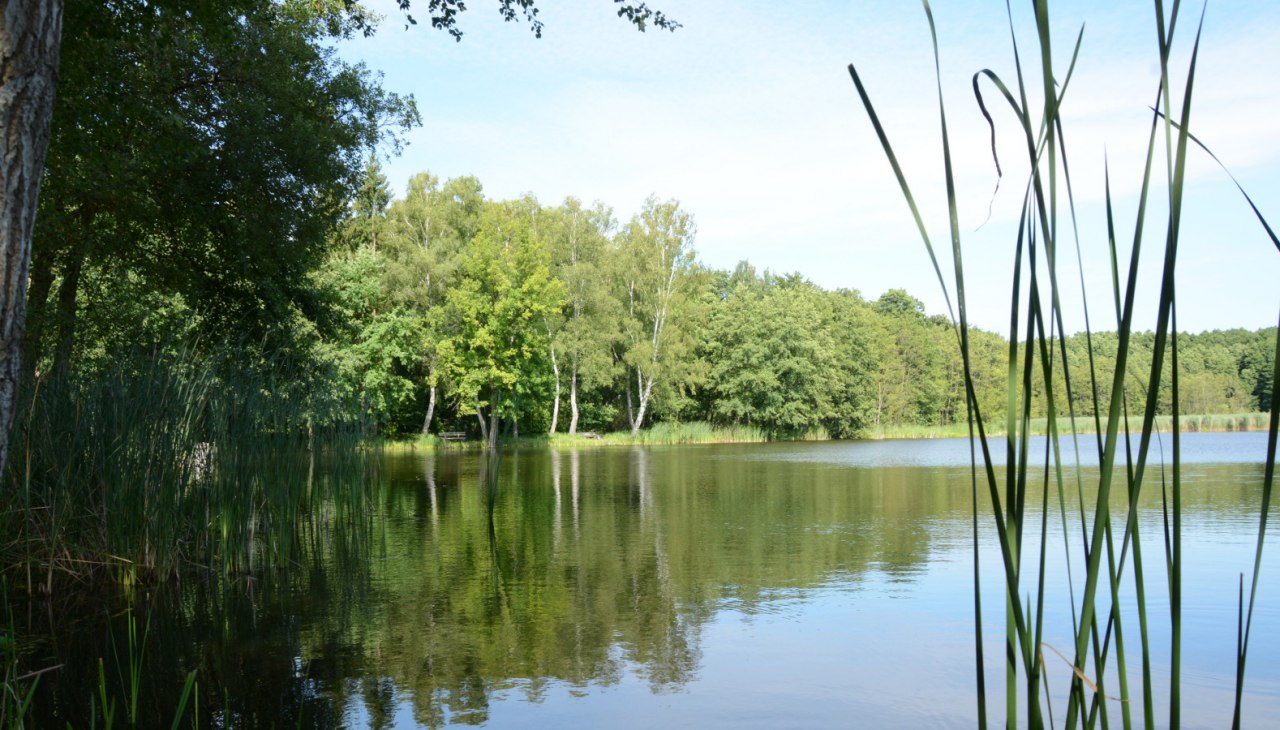 Karpfenteiche bei Voigtsdorf, © Tourismusverband Mecklenburg-Schwerin Karpfenteiche bei Voigtsdorf, © Tourismusverband Mecklenburg-Schwerin