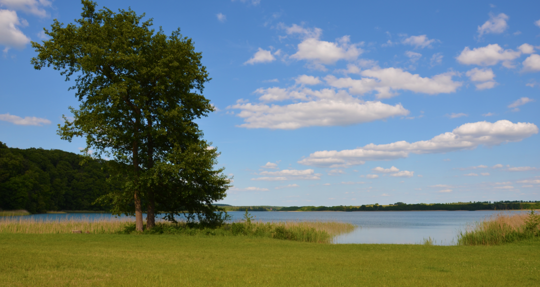 Badzone Brede Luzin Huettenberg 1, © Martin Möller Badzone Brede Luzin Huettenberg 1, © Martin Möller