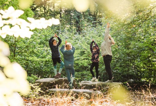Eine Gruppe von Kindern und einem Erwachsenen praktiziert Yoga im Wald, stehend auf gro&szlig;en Steinen, umgeben von gr&uuml;nem Laub.