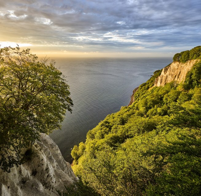 Vom Skywalk K&ouml;nigsstuhl bei Sassnitz schweift der Blick &uuml;ber leuchtende Kreidefelsen und die weite Ostsee. Buchenwald rahmt die hellen Klippen ein, w&auml;hrend das Licht durch dramatische Wolken bricht &ndash; ein Naturschauspiel auf R&uuml;gen, das in Erinnerung bleibt. // &copy; Florian Trykowski