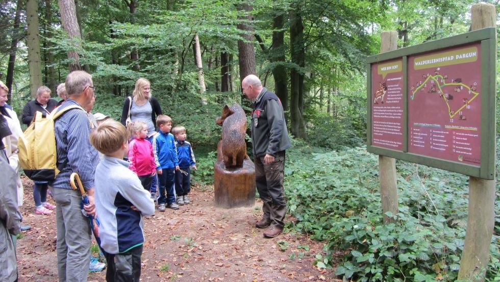 Auf dem Walderlebnispfad Dargun gehen Familien auf Spurensuche // &copy; Stadtinformation Dargun