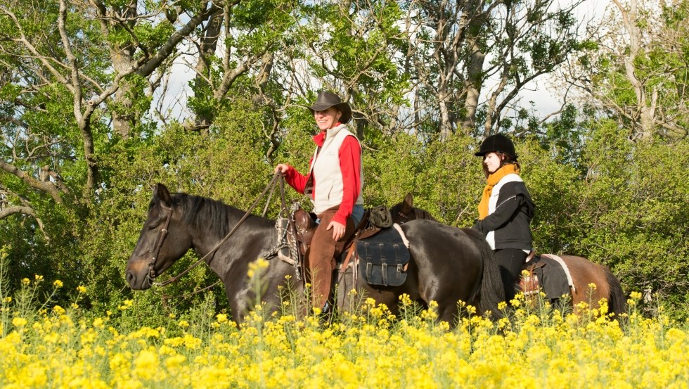 Reiten und Meer: Anne Hille vom ART.Quartier zeigt Ihnen die geheimnisvollen Ecken des Darßer Hinterlandes // © MV-T/ Hafemann Reiten und Meer: Anne Hille vom ART.Quartier zeigt Ihnen die geheimnisvollen Ecken des Darßer Hinterlandes // © MV-T/ Hafemann